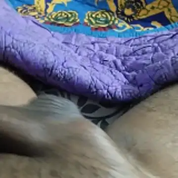 desi pb02 online show from November 22, 2025, 7:24 pm