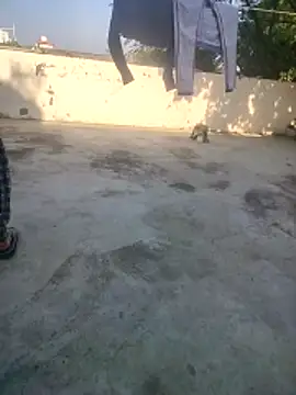 indian couple4 online show from December 16, 2025, 9:02 am