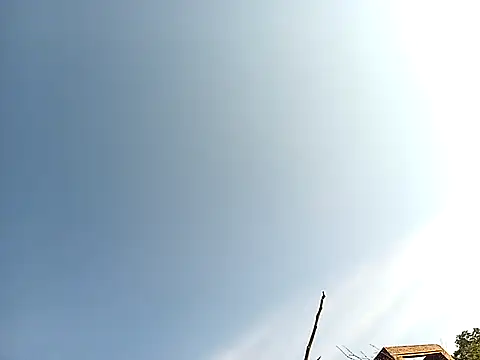 lilpip online show from November 27, 2025, 4:02 am