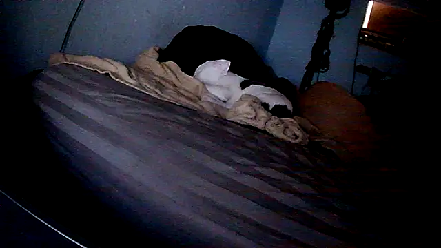 Snapshot of PornStro921 chatting on February 11, 2026, 8:20 pm PornStro921 online show from February 11, 2026, 8:20 pm