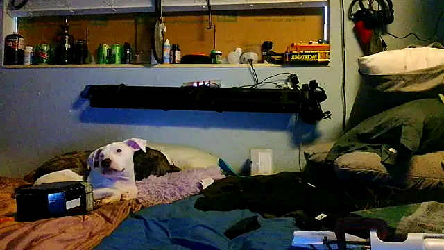 Snapshot of PornStro921 chatting on March 17, 2026, 8:45 pm PornStro921 online show from March 17, 2026, 8:45 pm