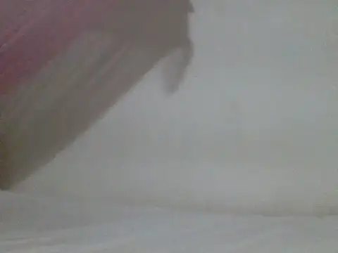 sissydinu online show from May 9, 2026, 7:56 am
