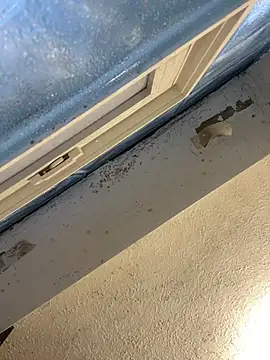 Snapshot of YODAPESOS chatting on February 23, 2026, 1:01 pm YODAPESOS online show from February 23, 2026, 1:01 pm