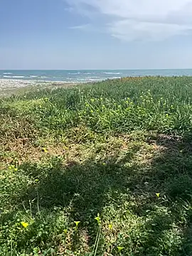 Snapshot of Smallcoco26 chatting on March 7, 2025, 9:40 am Smallcoco26 online show from March 7, 2025, 9:40 am