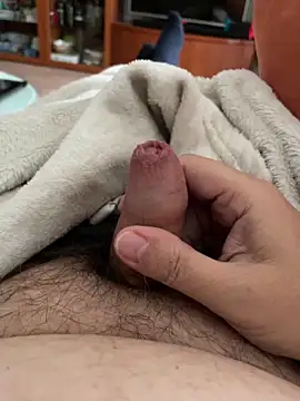 littletoy64 online show from October 30, 2025, 8:34 am