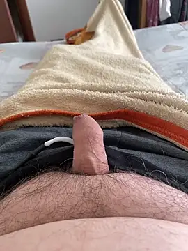 Snapshot of littletoy64 chatting on March 26, 2026, 11:41 am littletoy64 online show from March 26, 2026, 11:41 am