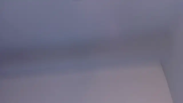 Sienna miller 27 online show from March 20, 2025, 2:42 pm