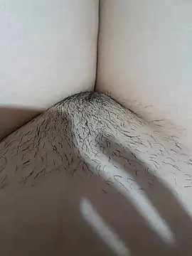 yakot7 online show from November 14, 2025, 11:30 pm