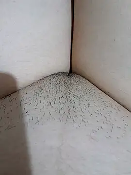 yakot7 online show from November 2, 2025, 12:26 am