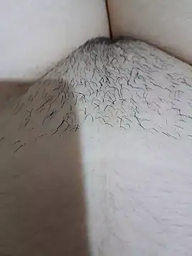 yakot7 online show from October 2, 2025, 11:08 pm