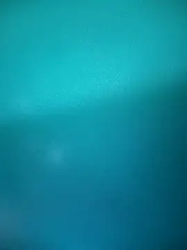 Neha-Bhabhi-Rasily online show from September 23, 2025, 10:11 am