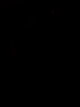 viviksmel online show from October 25, 2025, 11:53 am