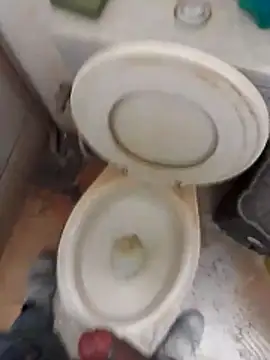 paugrosso553 online show from November 8, 2025, 1:47 pm