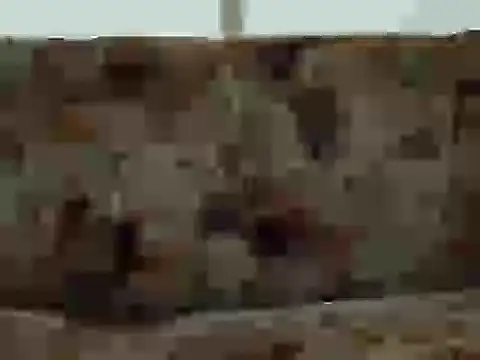 priya patel online show from September 12, 2025, 7:19 am