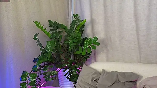 AmeliRoyse online show from September 15, 2025, 5:13 pm