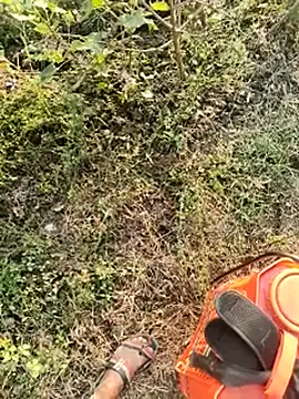 himvilohi08 online show from January 10, 2026, 10:54 am