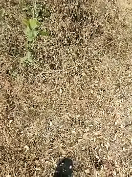 Snapshot of himvilohi08 chatting on March 24, 2026, 11:54 am himvilohi08 online show from March 24, 2026, 11:54 am