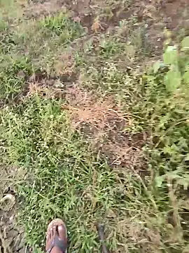 Snapshot of himvilohi08 chatting on March 16, 2026, 1:15 pm himvilohi08 online show from March 16, 2026, 1:15 pm