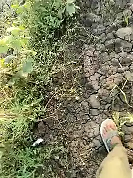 Snapshot of himvilohi08 chatting on March 21, 2026, 12:31 pm himvilohi08 online show from March 21, 2026, 12:31 pm