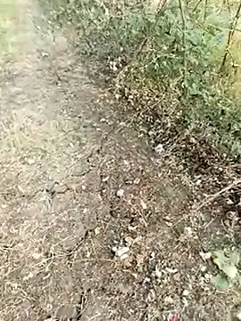 Snapshot of himvilohi08 chatting on February 13, 2026, 11:32 am himvilohi08 online show from February 13, 2026, 11:32 am