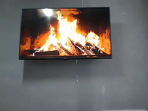 DaphneRosses online show from November 11, 2025, 2:12 pm