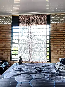 bella warzon online show from September 10, 2025, 5:34 pm