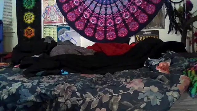 GardeniaFields online show from February 23, 2026, 10:38 am