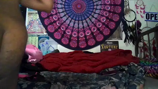 GardeniaFields online show from March 8, 2026, 9:56 am