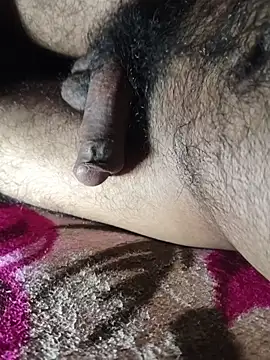 Mr skywalker online show from February 4, 2026, 11:49 am