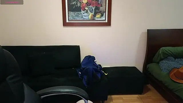 Snapshot of lukeboyce33 chatting on February 10, 2026, 11:48 pm lukeboyce33 online show from February 10, 2026, 11:48 pm