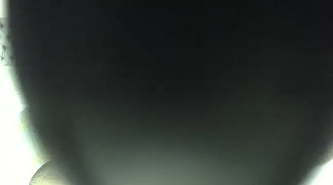 elizabeth swan18 online show from March 17, 2025, 12:46 pm