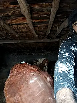 Zor12347 online show from February 4, 2026, 12:00 pm