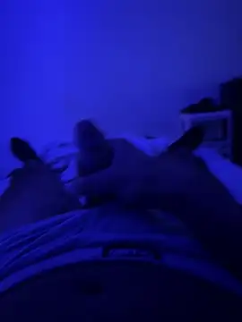 MoroccanDickkkkkk online show from October 8, 2025, 12:50 pm