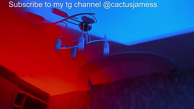 Cactus  James online show from November 21, 2025, 11:59 pm