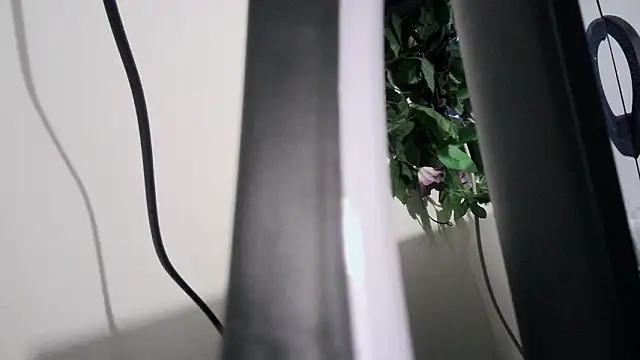 Snapshot of cherryboom23 chatting on March 19, 2026, 7:25 pm cherryboom23 online show from March 19, 2026, 7:25 pm