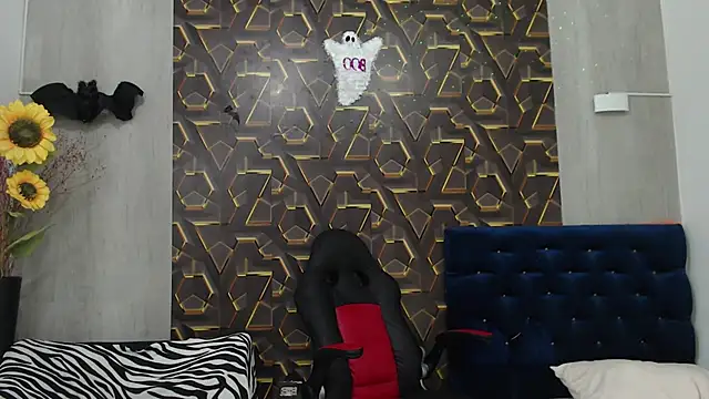 black king 241 online show from November 12, 2025, 3:21 am