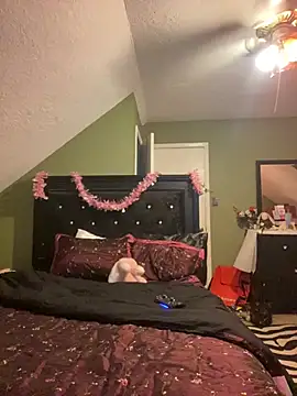 bankruptbabe online show from March 25, 2026, 3:50 am