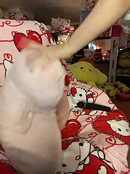 w3tkittty online show from March 22, 2026, 2:37 am