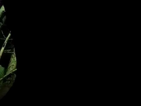 ConfidedAward online show from September 13, 2025, 11:21 am