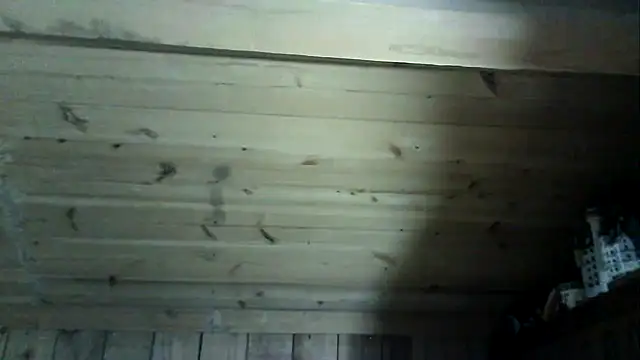 Angelsordemons6 online show from March 4, 2026, 8:27 pm