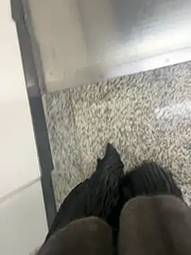 Snapshot of xiaoyuan01 chatting on February 6, 2026, 2:07 am xiaoyuan01 online show from February 6, 2026, 2:07 am