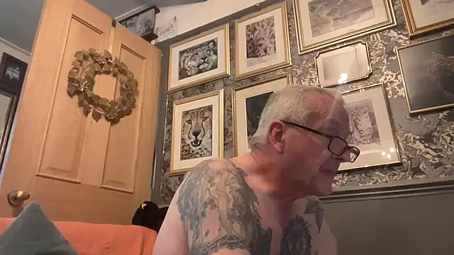 poggles online show from November 29, 2025, 12:38 pm