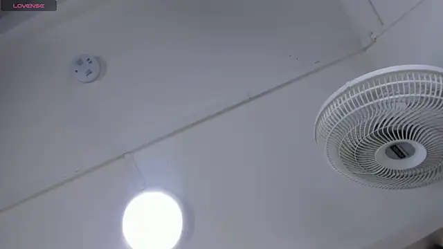 VICTORIAGRAYS online show from October 11, 2025, 11:11 am