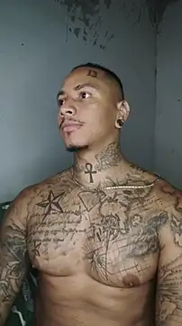 David tatto1 online show from March 3, 2026, 3:35 am