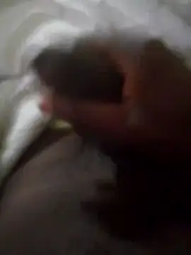 Snapshot of 92donis chatting on September 30, 2025, 3:56 am 92donis online show from September 30, 2025, 3:56 am