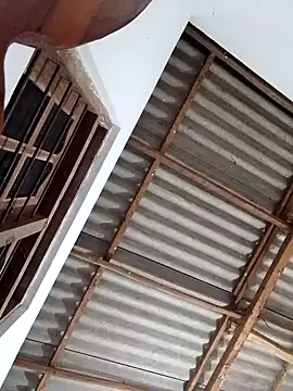 boosypussy online show from November 13, 2025, 11:08 pm