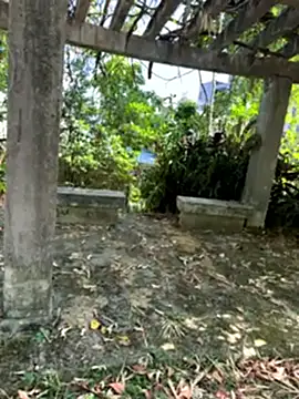 zack23088 online show from October 18, 2025, 2:02 am