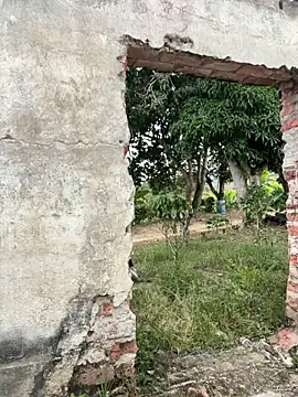 Jacksonfranco online show from December 17, 2025, 10:04 pm