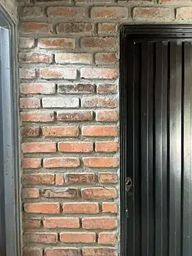 Jacksonfranco online show from November 19, 2025, 2:28 pm