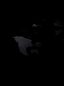 jezuha online show from March 8, 2026, 4:05 am